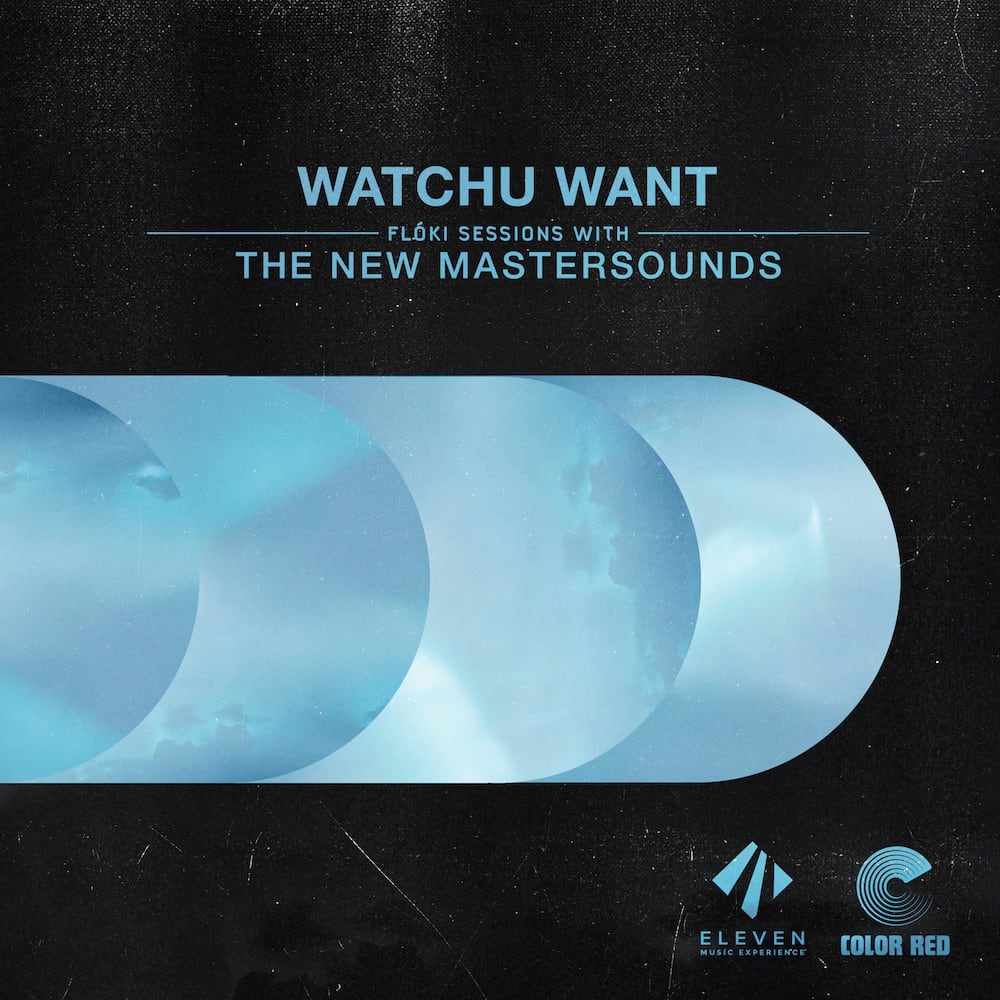 The New Mastersounds Watchu Want Album Cover